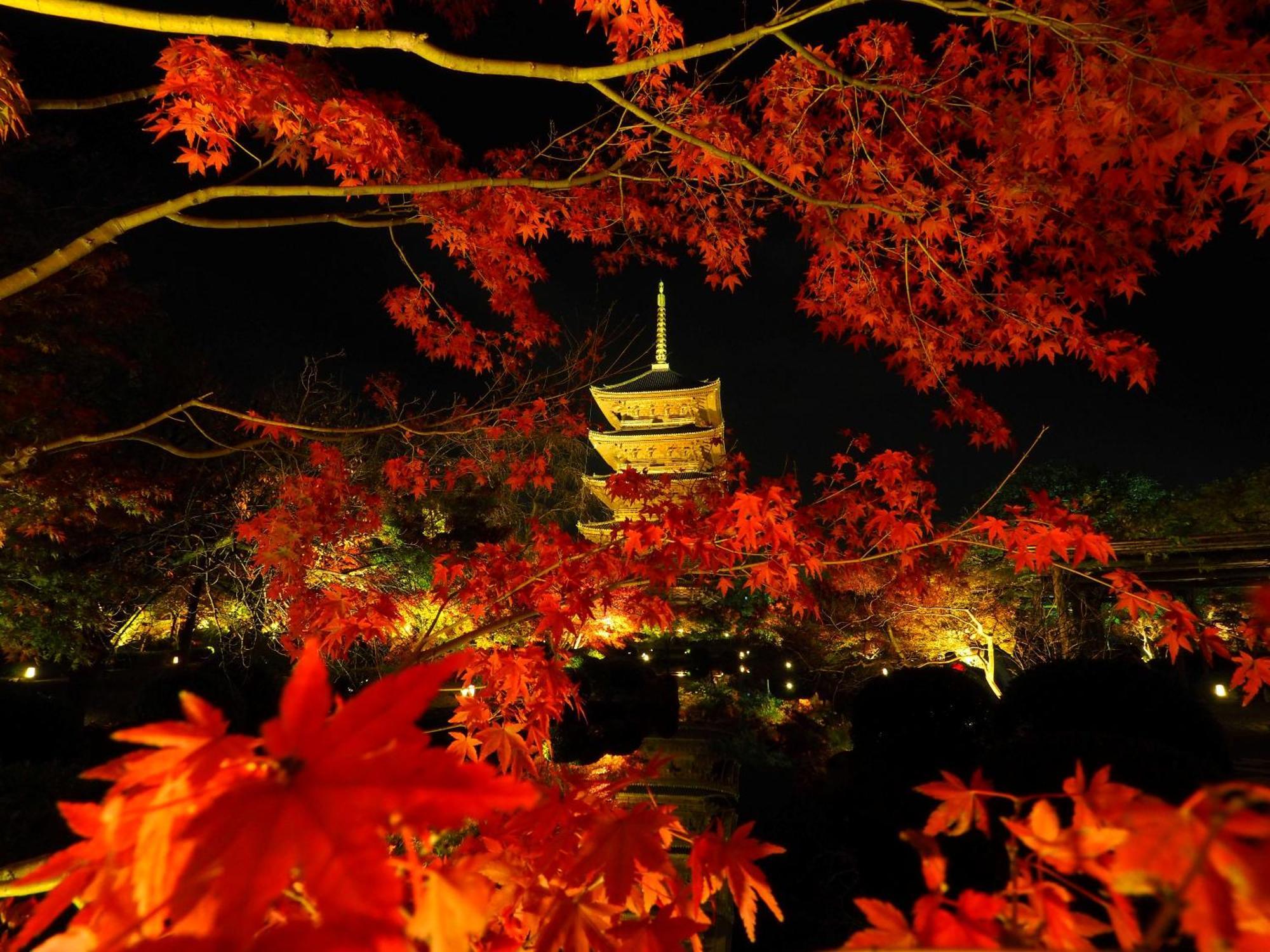Stay Sakura Kyoto Higashi Hongan-Ji I Zewnętrze zdjęcie
