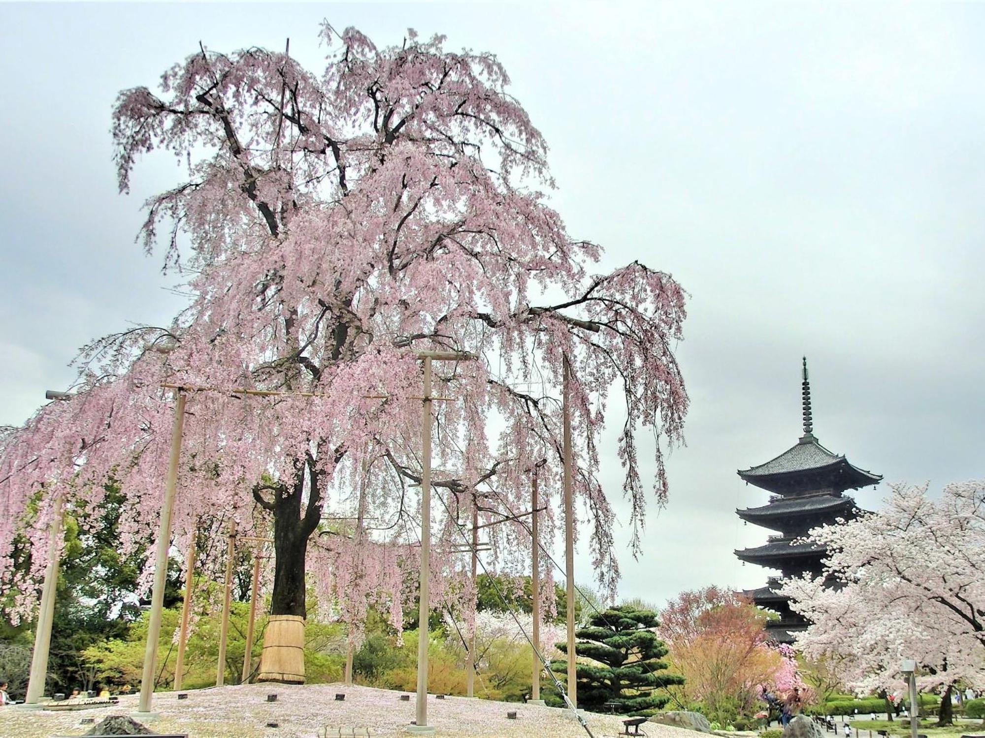 Stay Sakura Kyoto Higashi Hongan-Ji I Zewnętrze zdjęcie