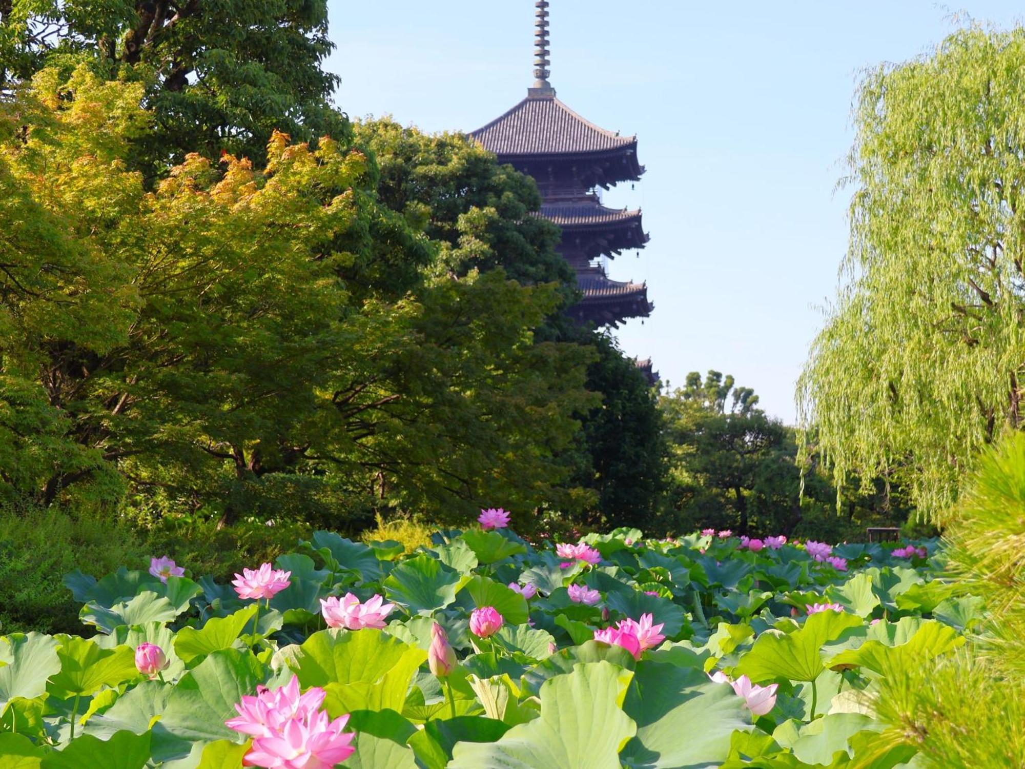 Stay Sakura Kyoto Higashi Hongan-Ji I Zewnętrze zdjęcie
