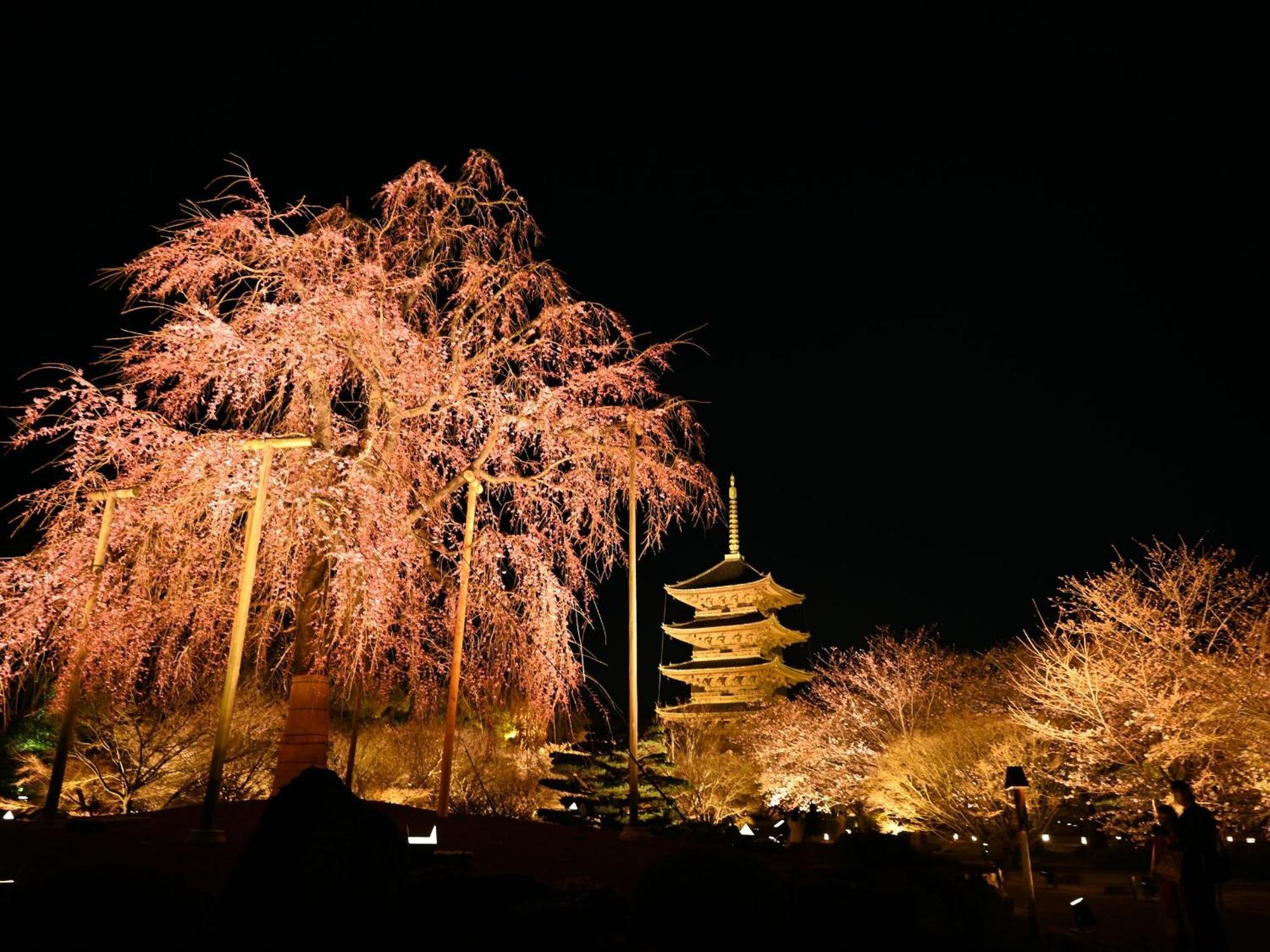 Stay Sakura Kyoto Higashi Hongan-Ji I Zewnętrze zdjęcie